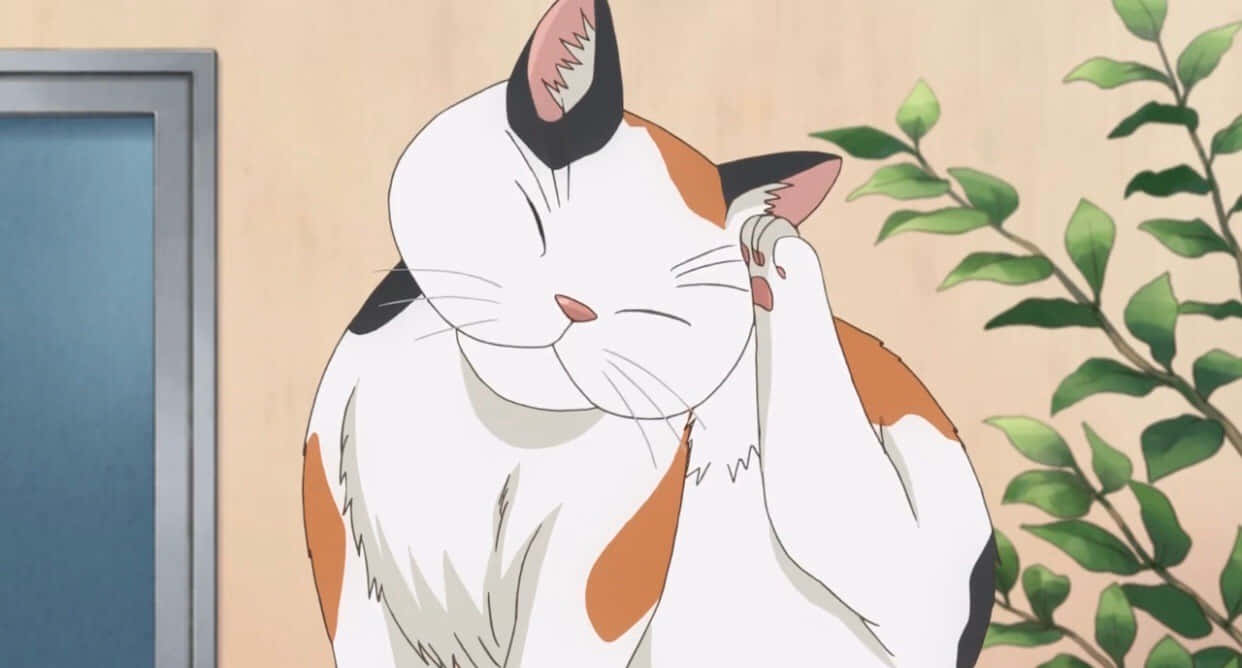 かわいいメガネをかけたアニメ猫！ 壁紙
