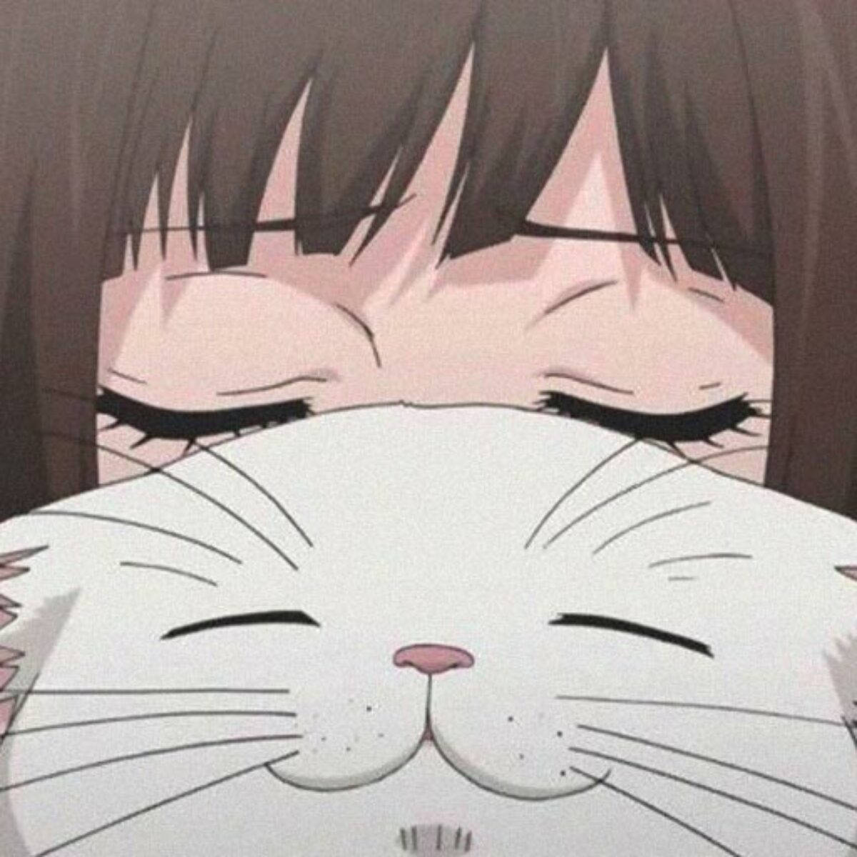 かわいい猫とアニメ風少女のプロフィール画像 壁紙