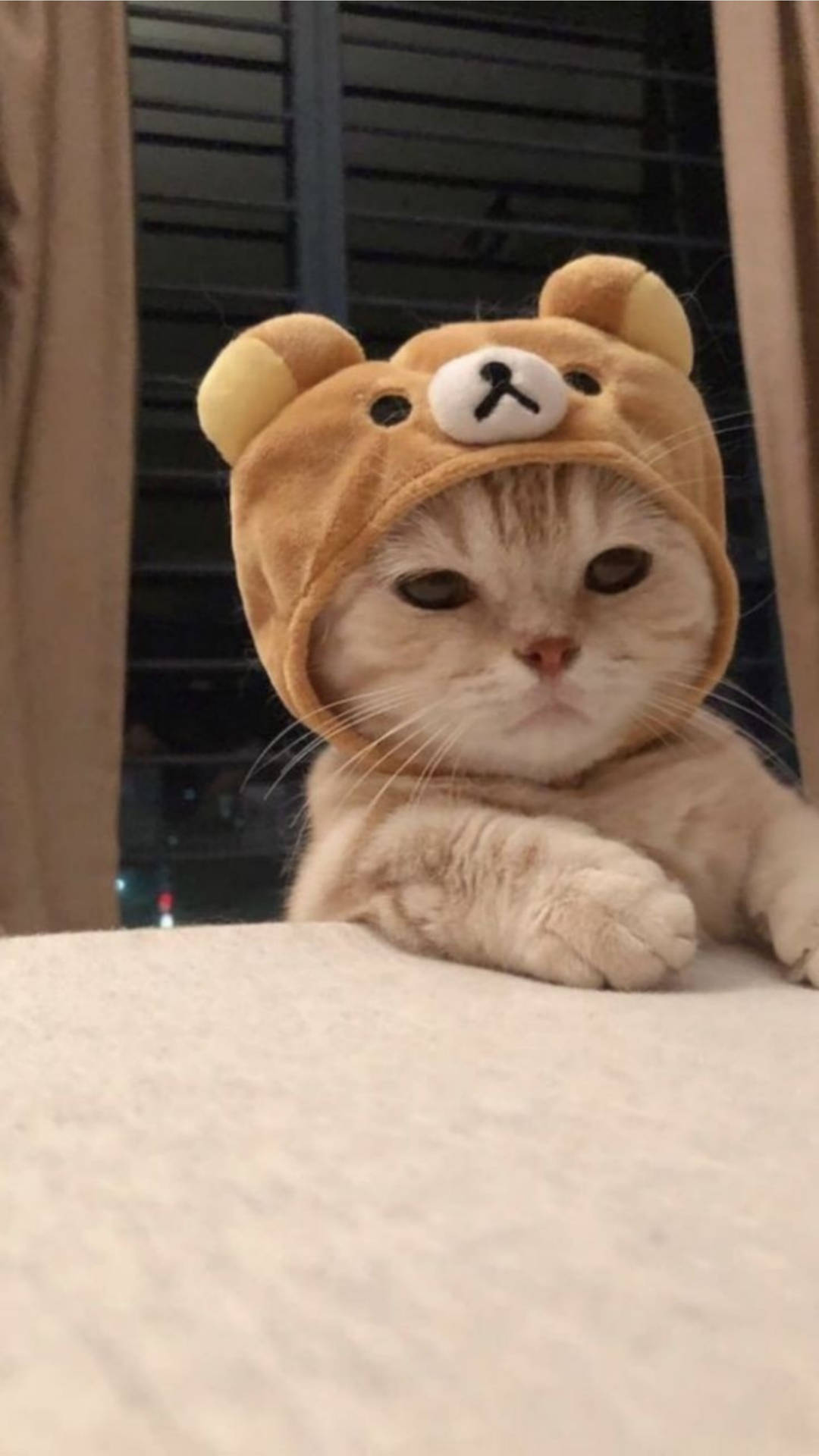 かわいい猫のRilakkumaハット