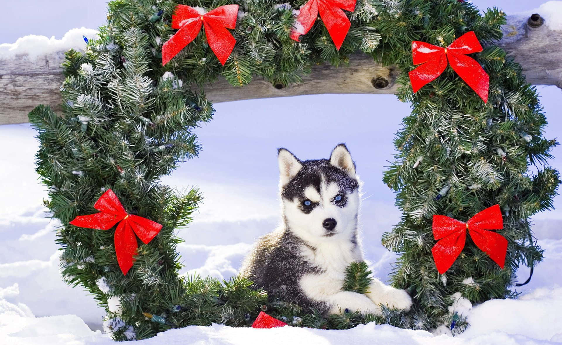かわいい美しいクリスマスの写真 壁紙