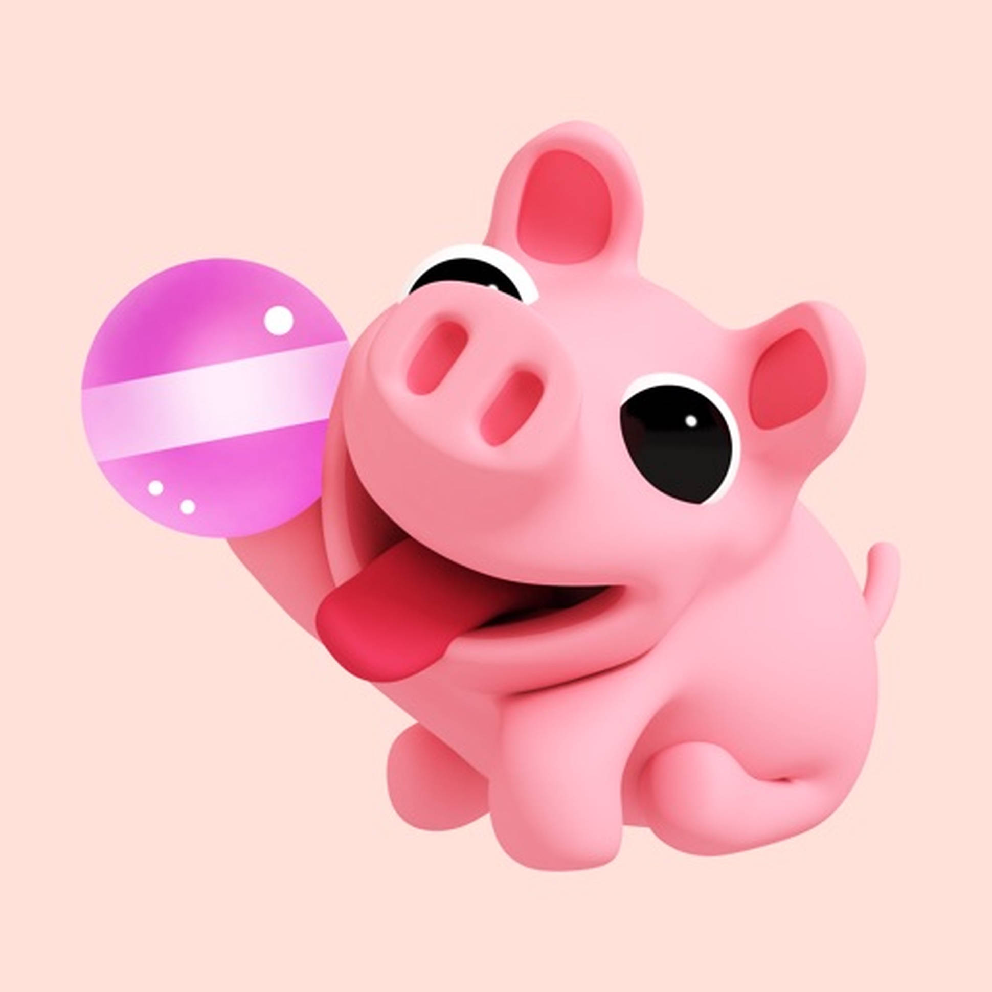 かわいい豚のローザ 壁紙