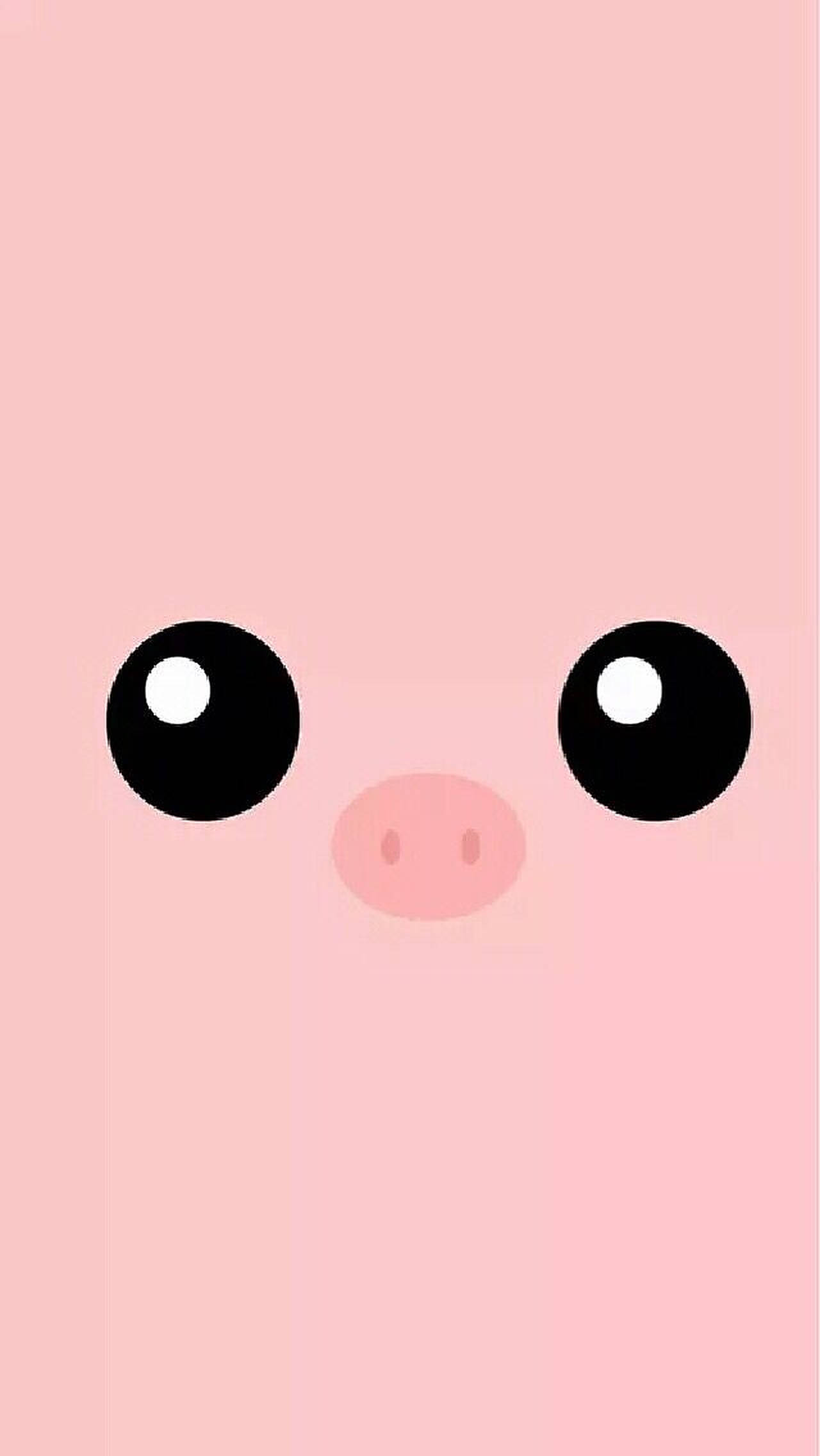かわいい豚の目と鼻 壁紙
