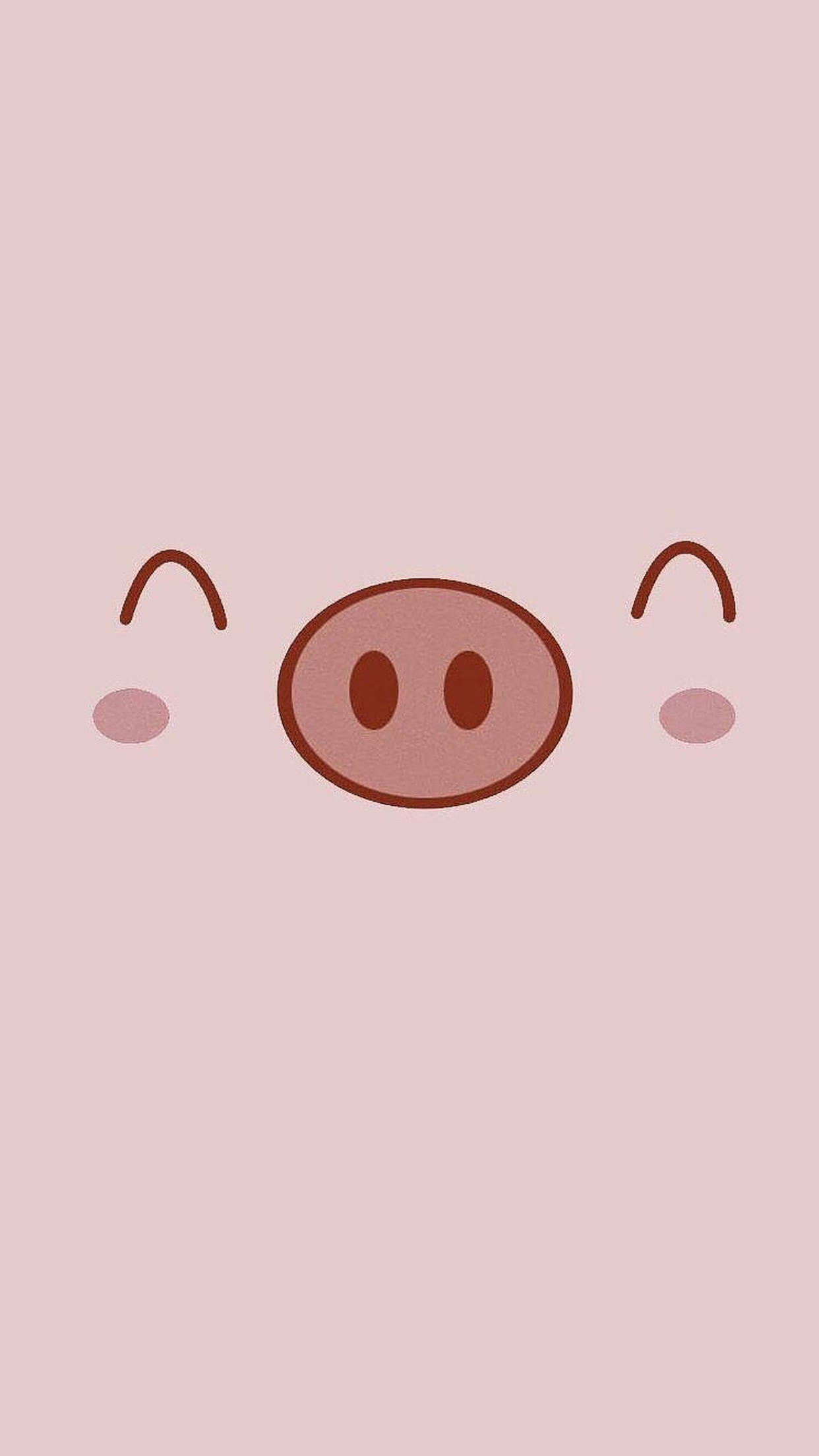 かわいい豚の笑顔 壁紙