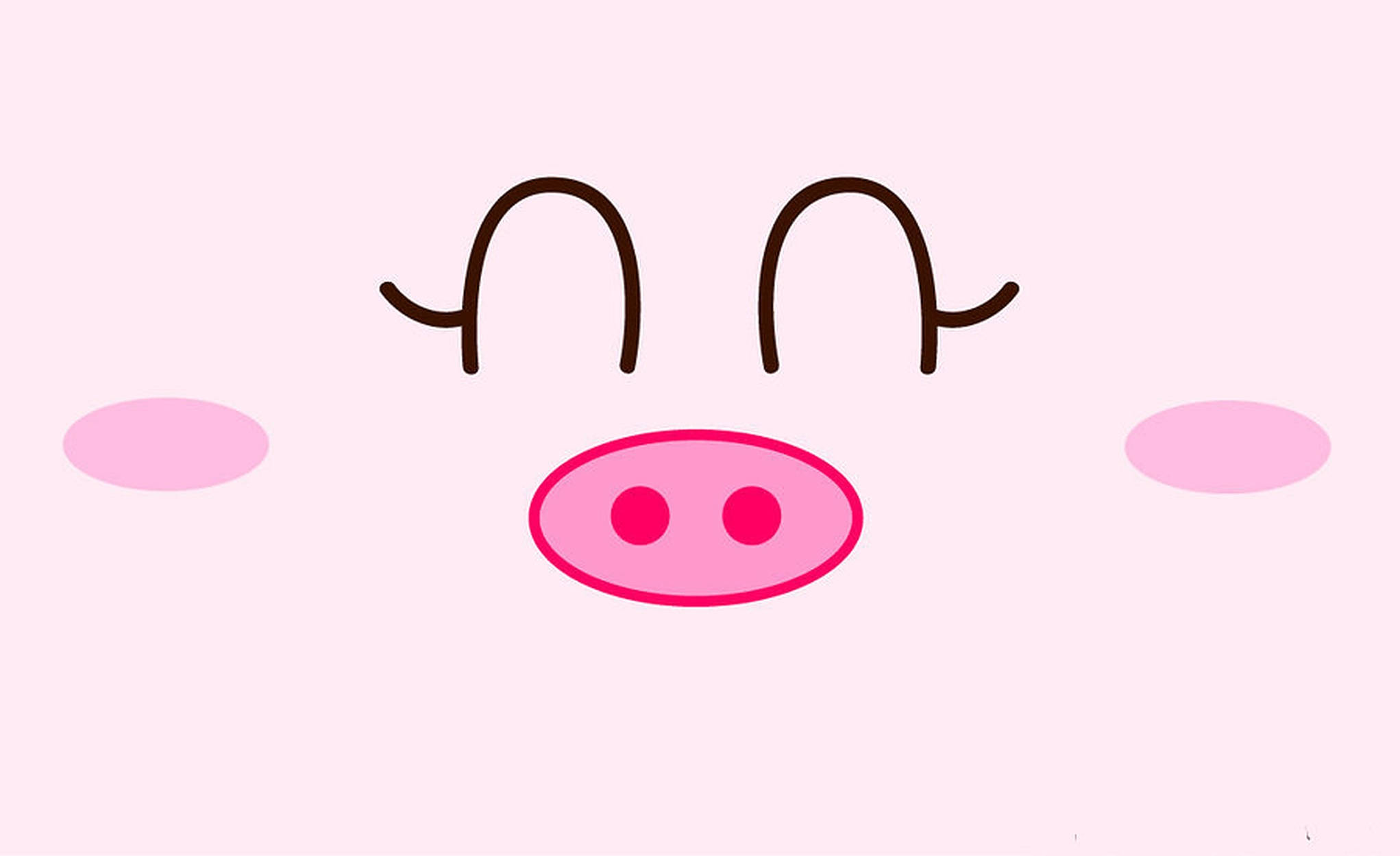 かわいい豚の鼻 壁紙