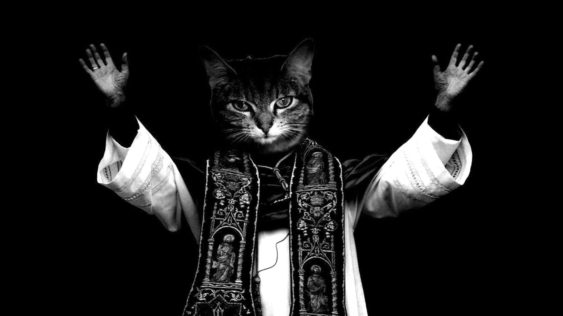 かわいい面白い猫の聖なる司祭が手を挙げる写真 壁紙