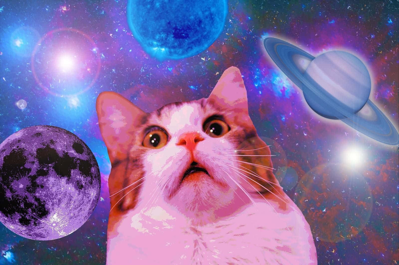 かわいい面白い猫の驚いた表情と銀河の背景画像 壁紙