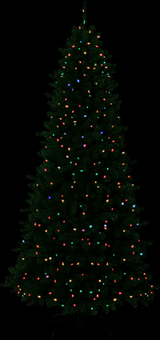 きらめくクリスマスツリーのライト 壁紙