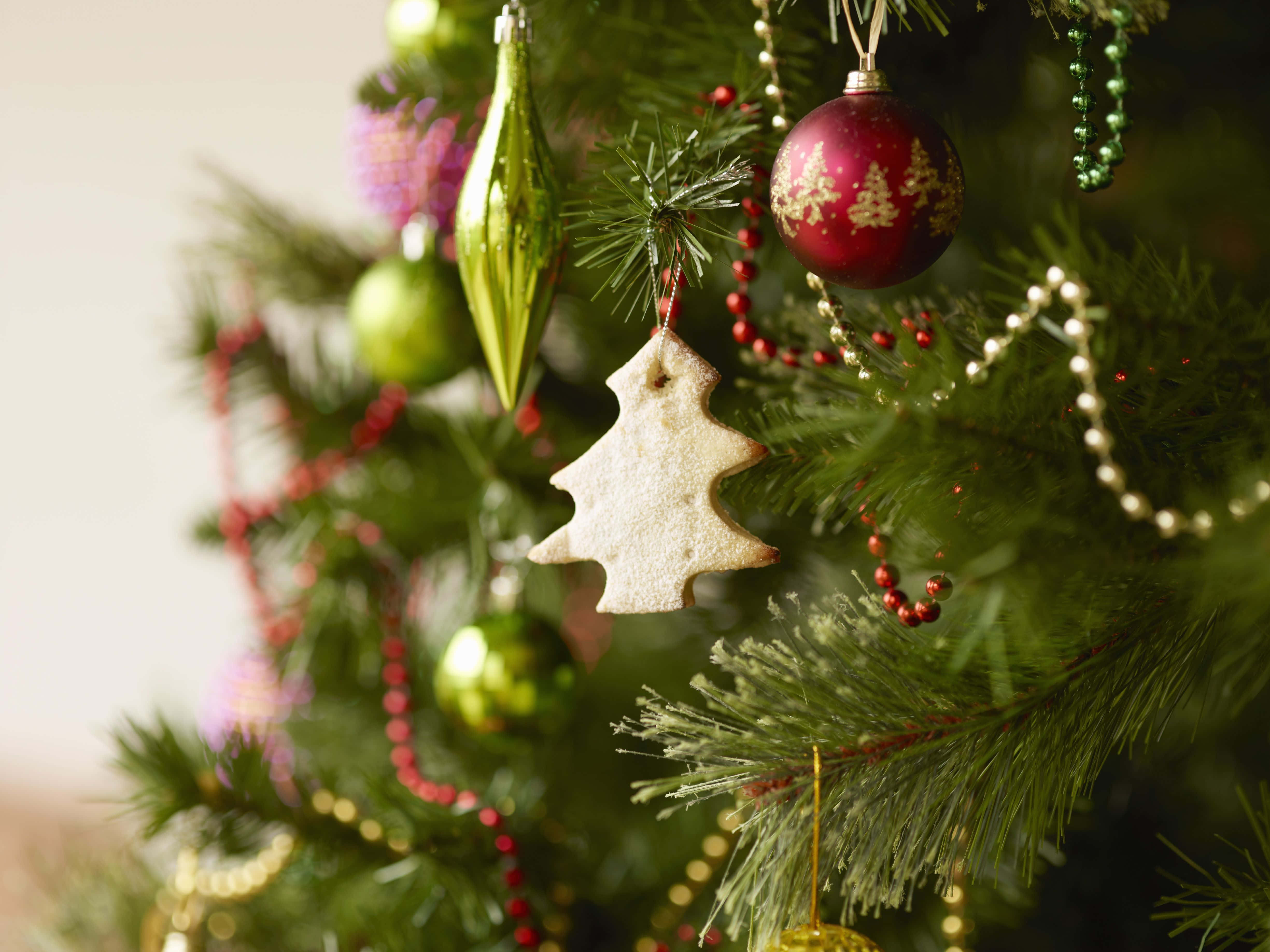 「このホリデーシーズンに、クリスマスの美しさを祝おう！」 壁紙
