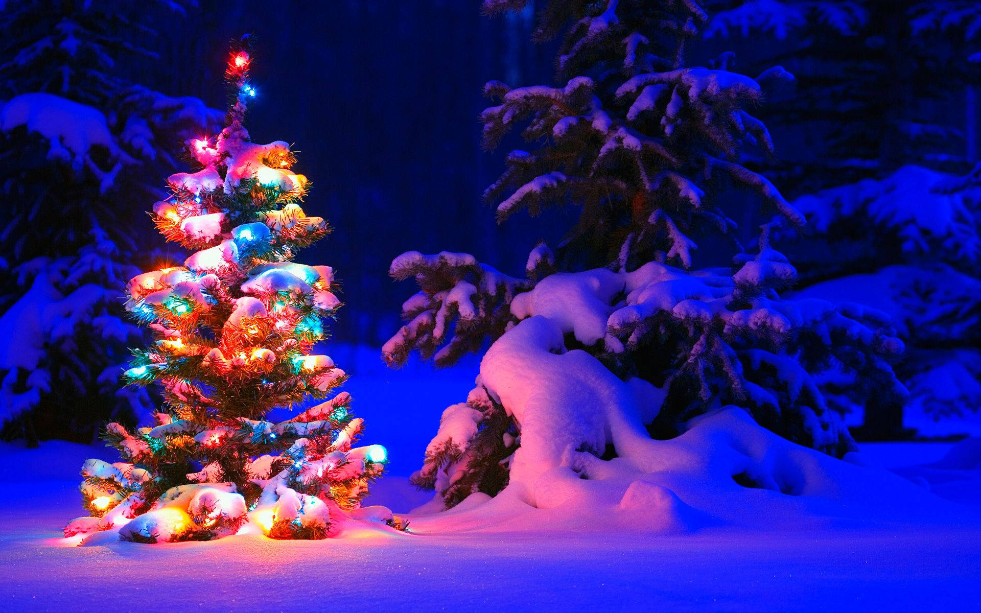 雪に覆われたかわいいクリスマスツリーの壁紙。 — クリスマス GIF 壁紙