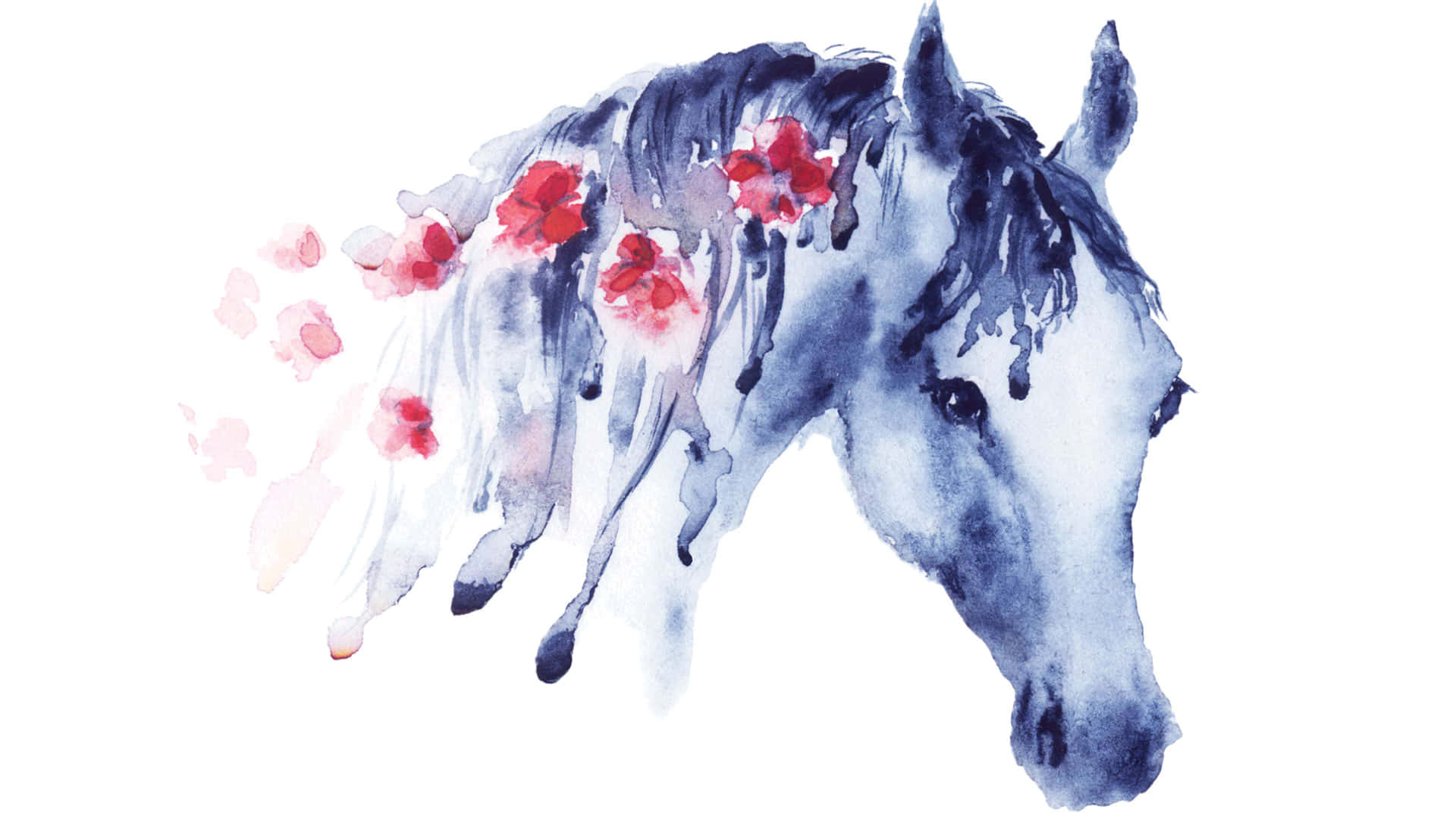 この愛らしい馬を見て！ 壁紙