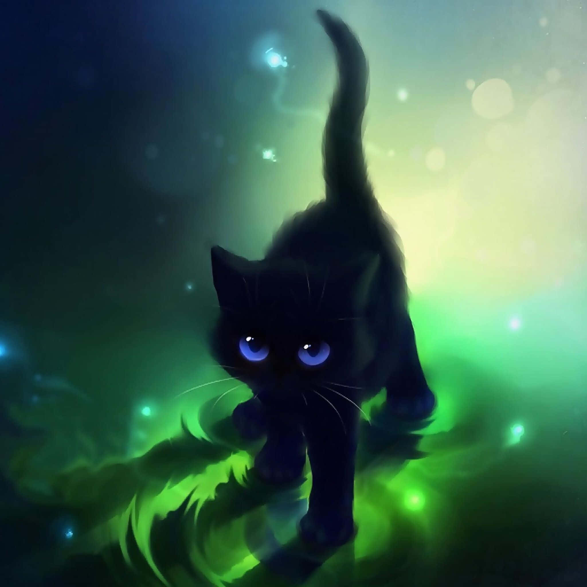 この美しい黒猫に心を奪われる 壁紙