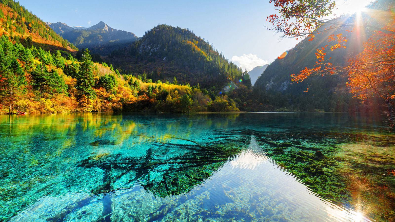 この見事な湖の景色は、透き通った水と絵のように美しい風景を見せます 壁紙