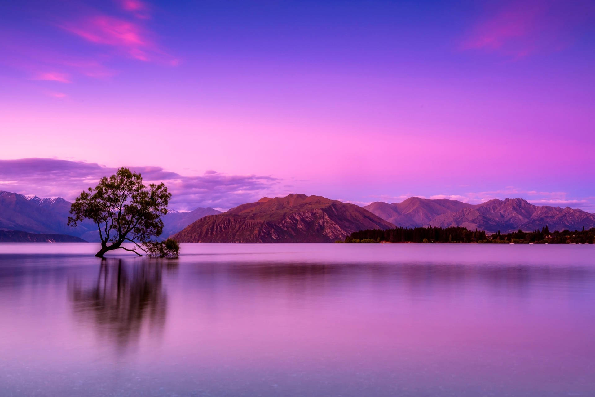 さざ波立つ湖の風景