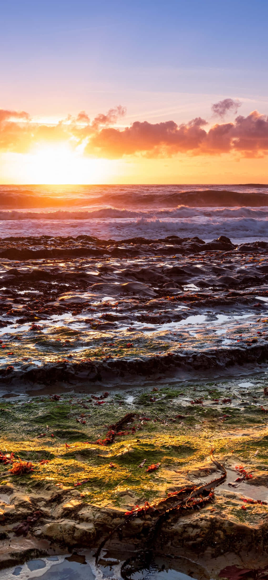 どこからでもiPhone Xでカリフォルニアの海岸線を楽しむ 壁紙