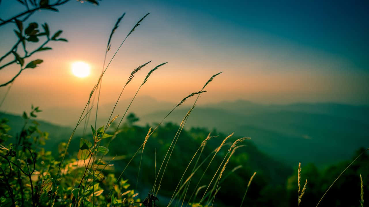 なだらかな丘と美しい夕焼けの静かな風景 壁紙