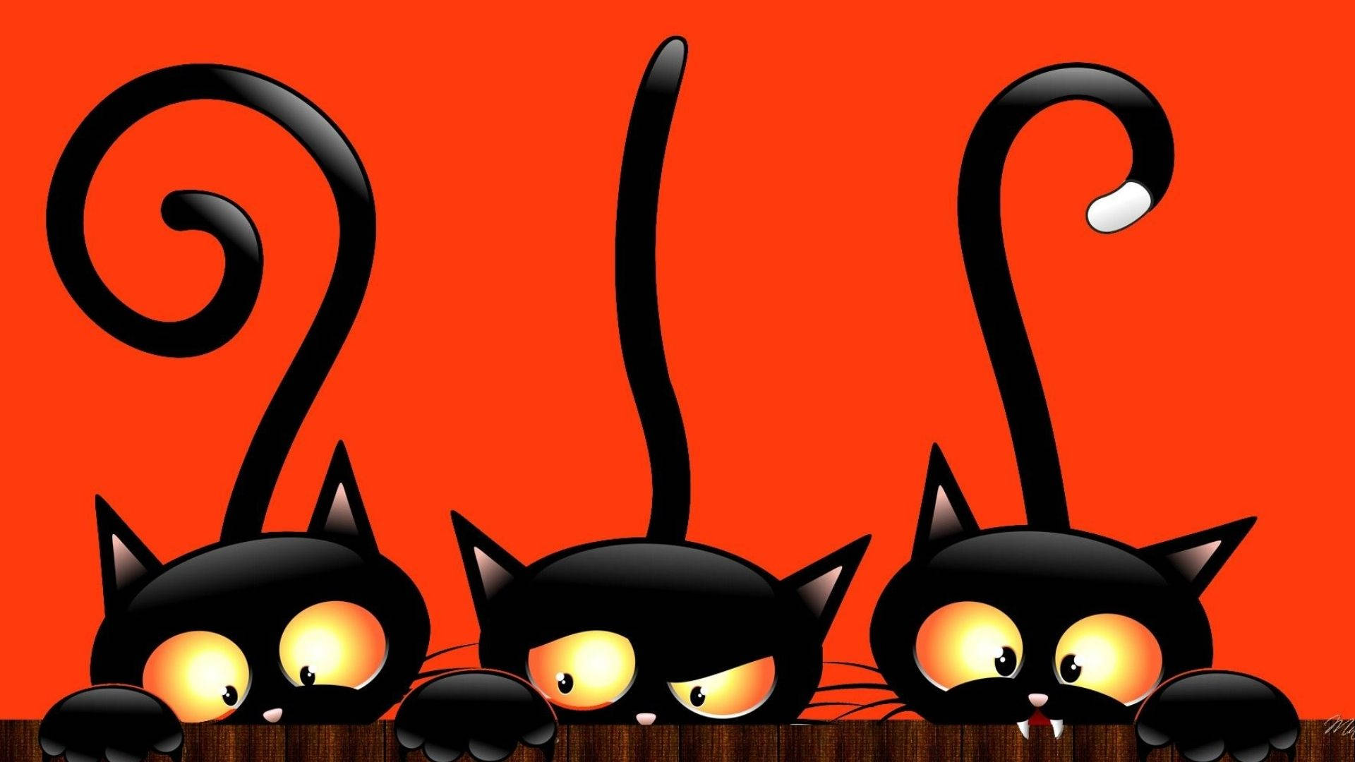 のぞき見するハロウィン猫のイラスト 壁紙