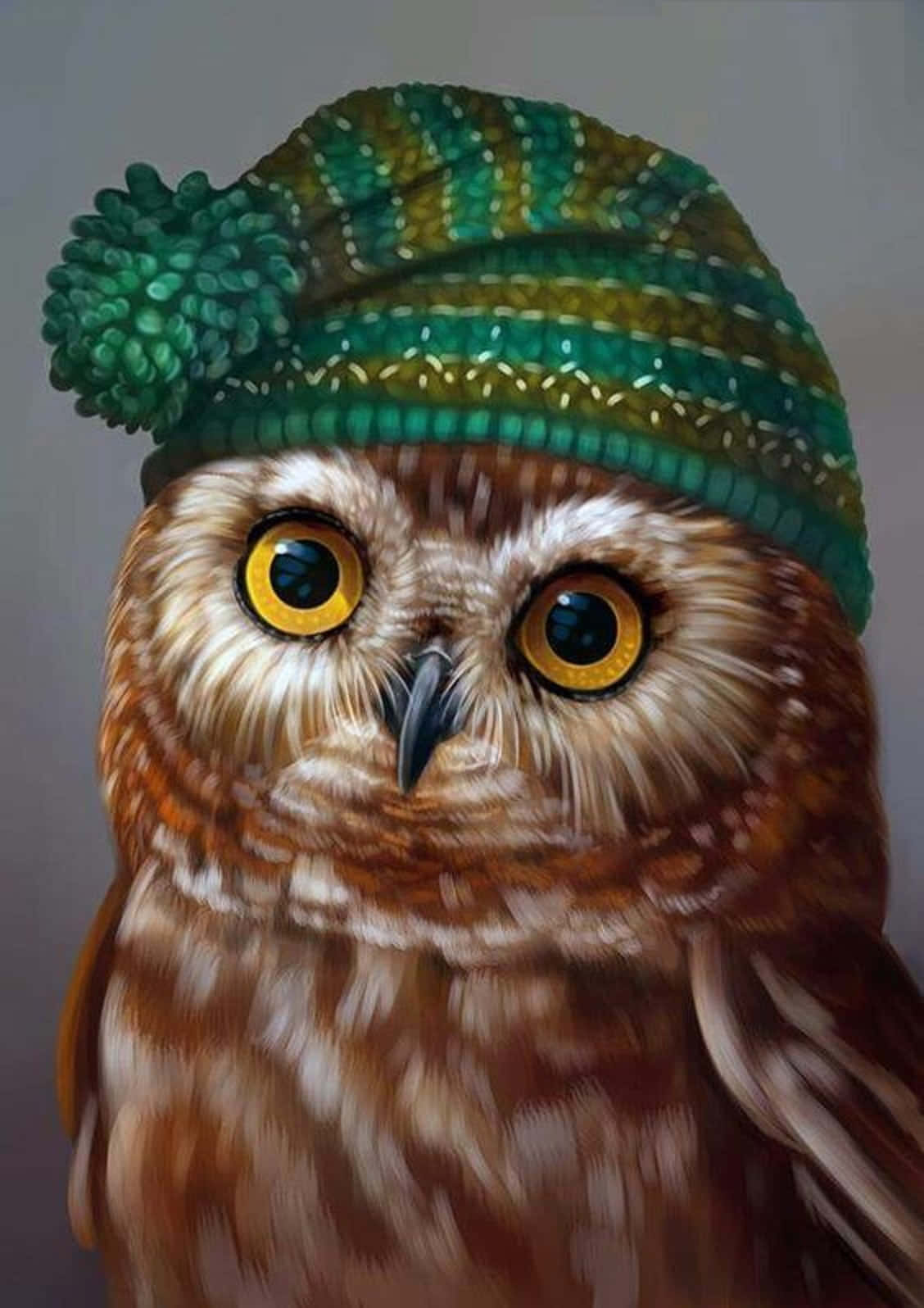 ふわふわのフクロウが木の枝にとまる 壁紙