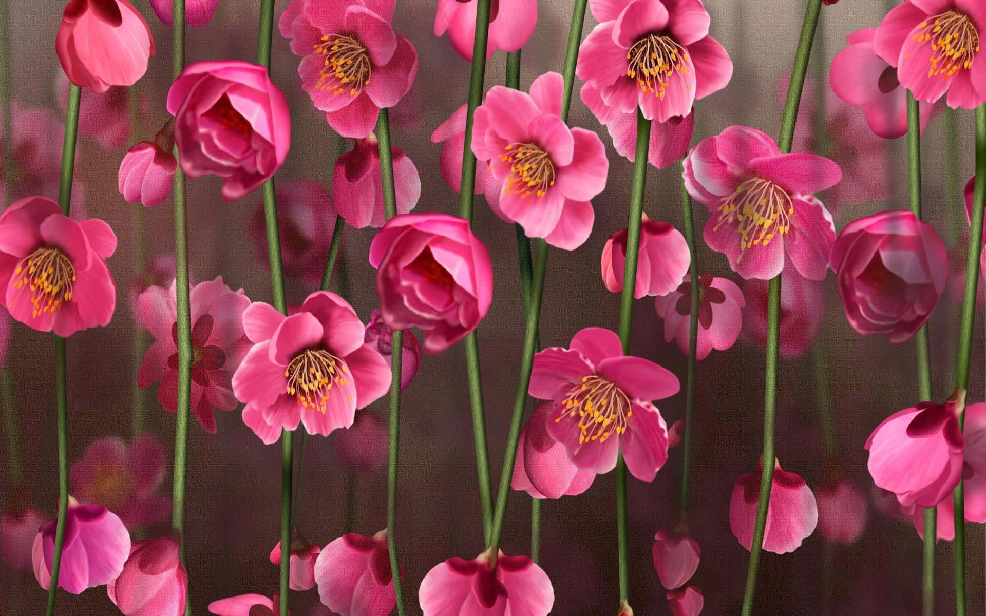 ふわふわピンクの花柄背景 壁紙