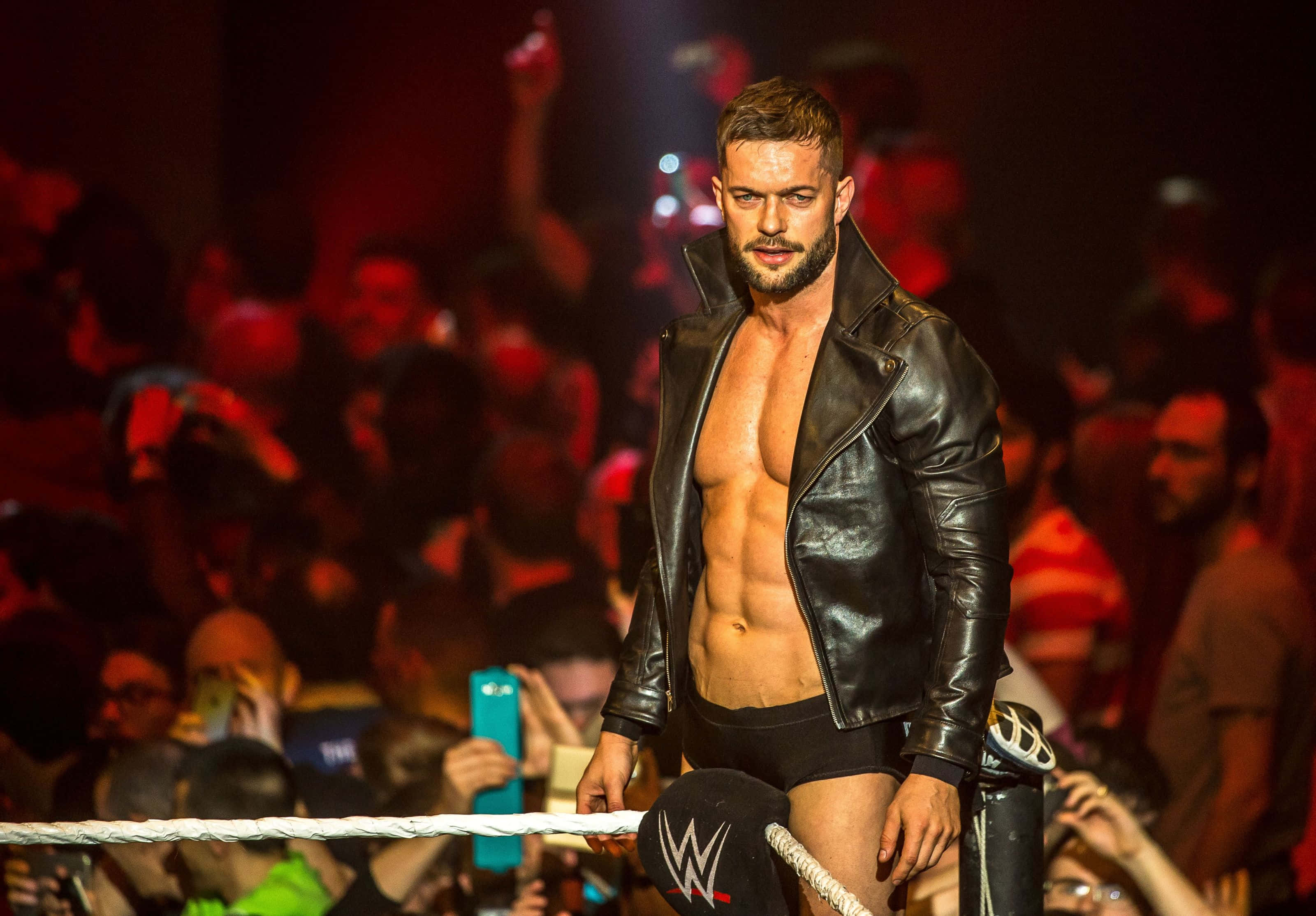 アイルランド人プロレスラー フィン・ベイラー 壁紙
