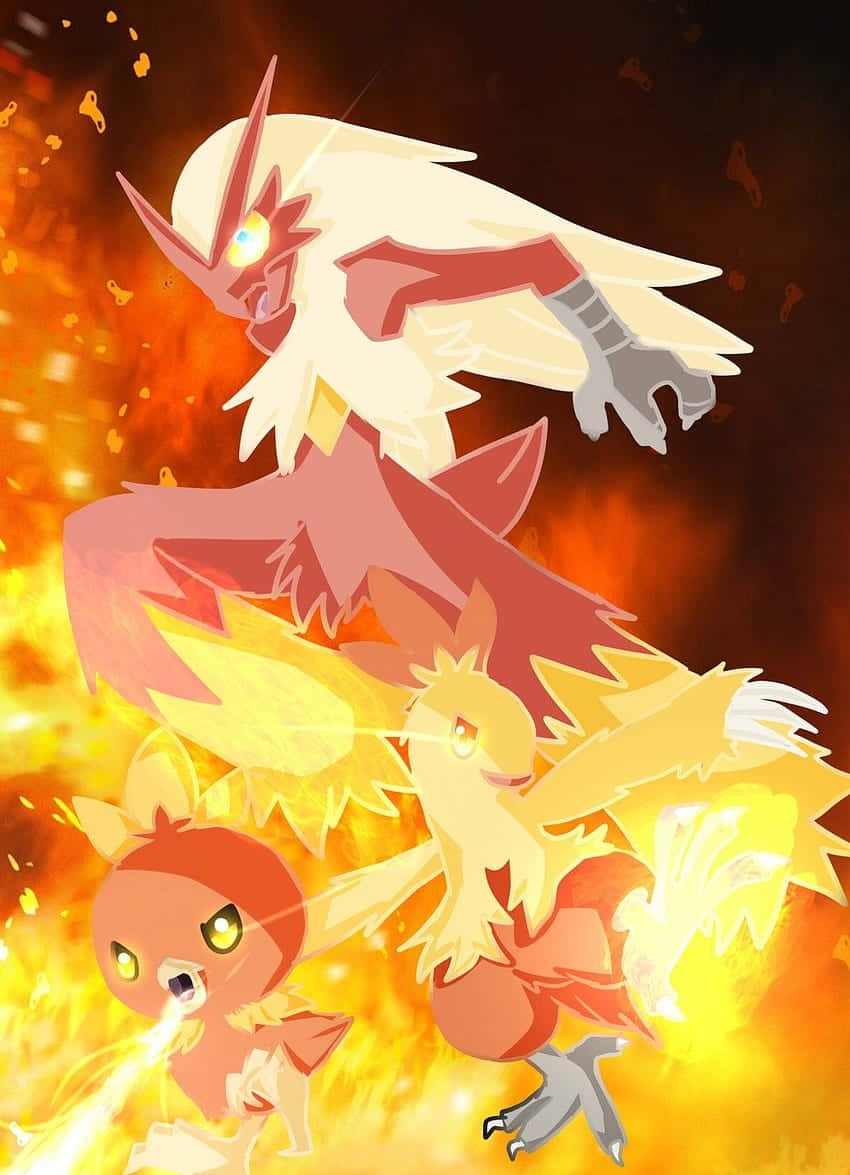 アチャモ ポケモン進化段階イラスト 壁紙