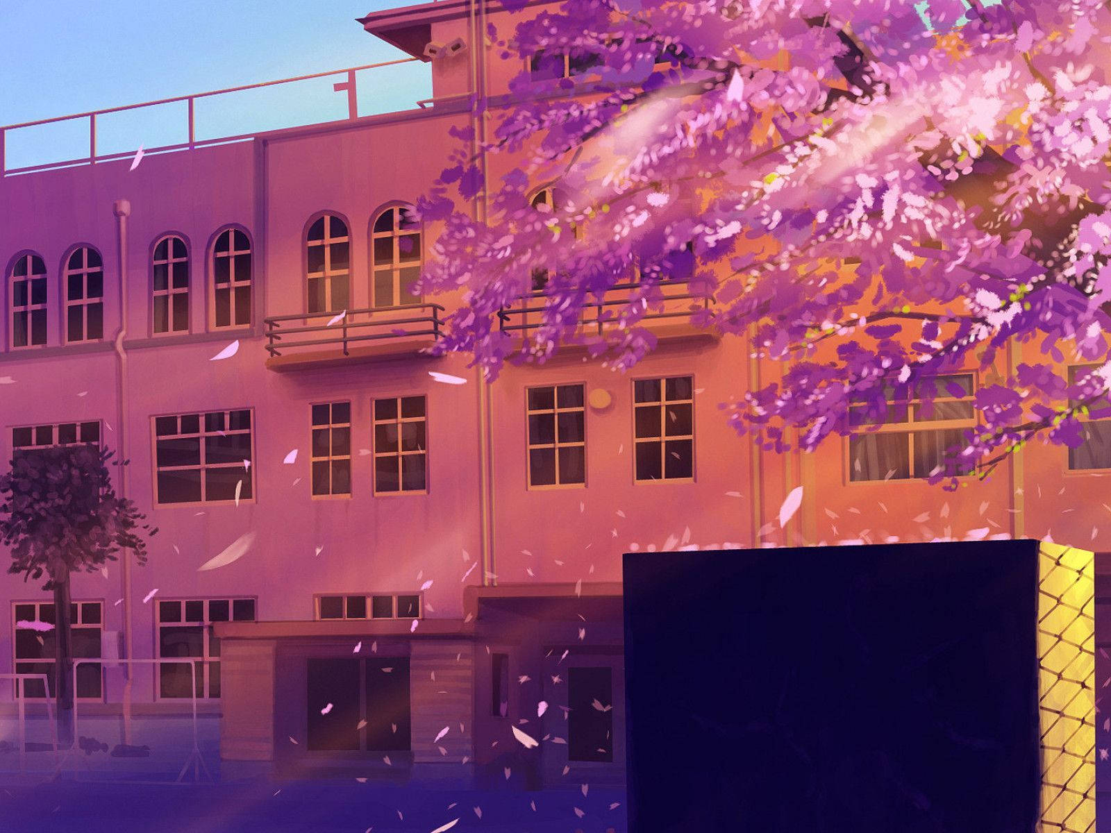 アニメの学校風景と桜の木 壁紙