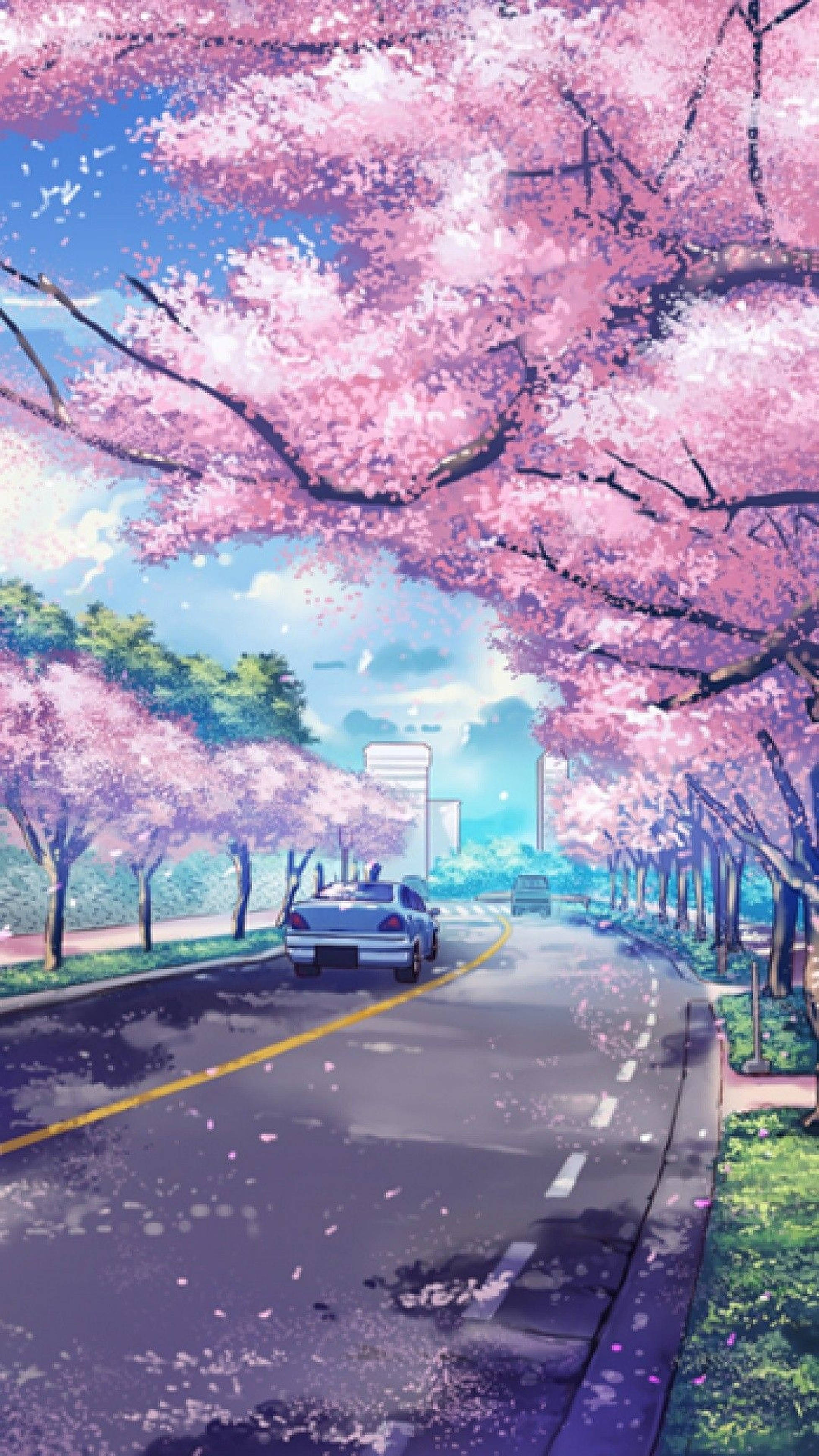 アニメ桜 iPhone 壁紙