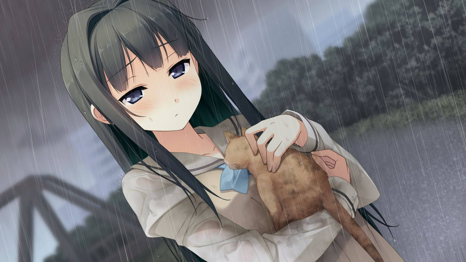 アニメ風の少女が猫を抱くナイトコア 壁紙