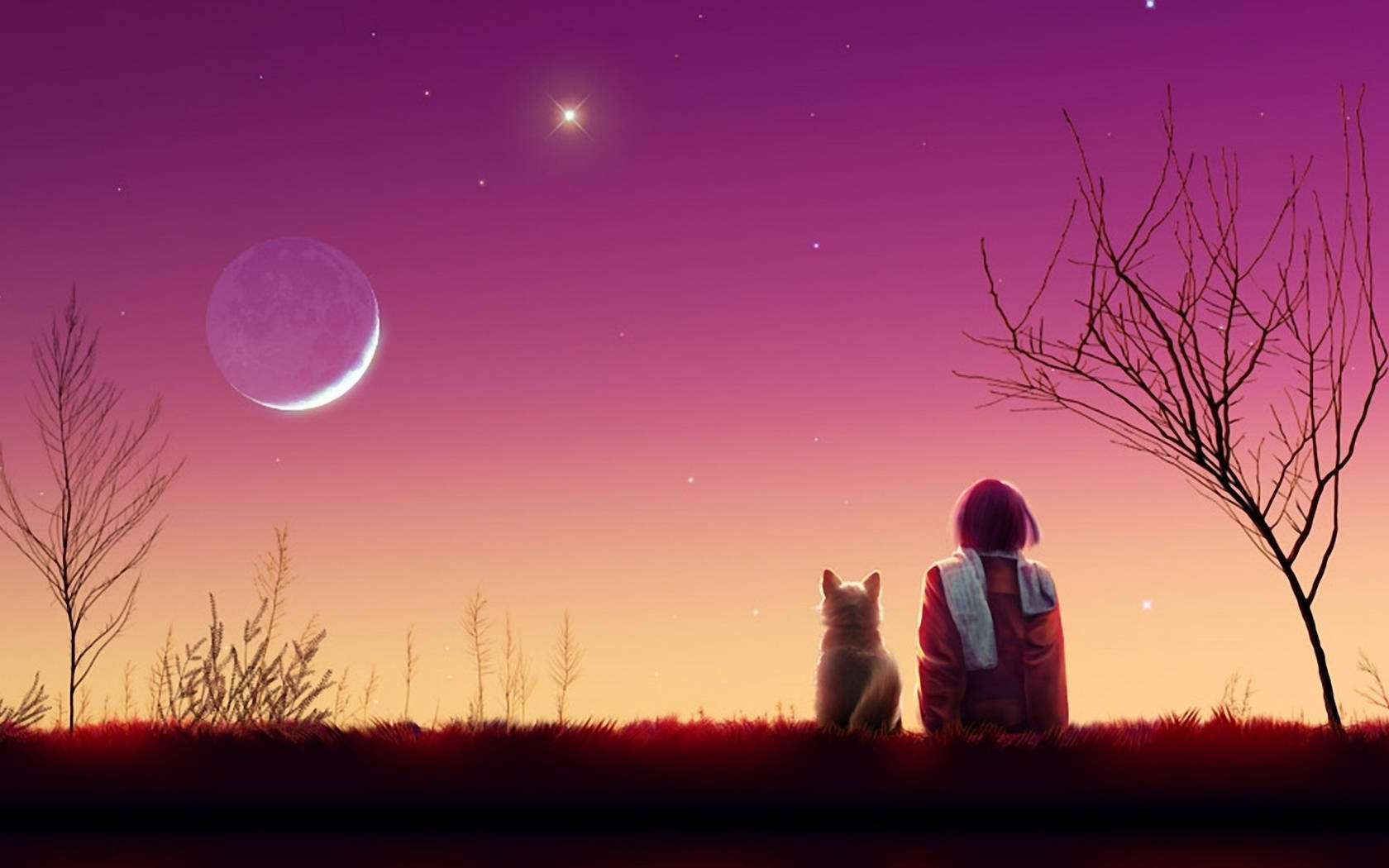 アニメ風の少女と猫 夕焼けの美学 壁紙