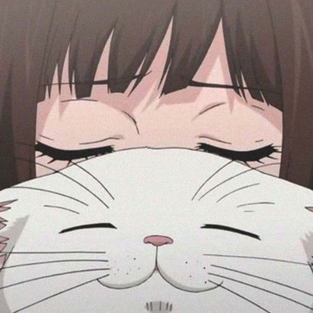 アニメ風少女と白い猫のアイコン 壁紙