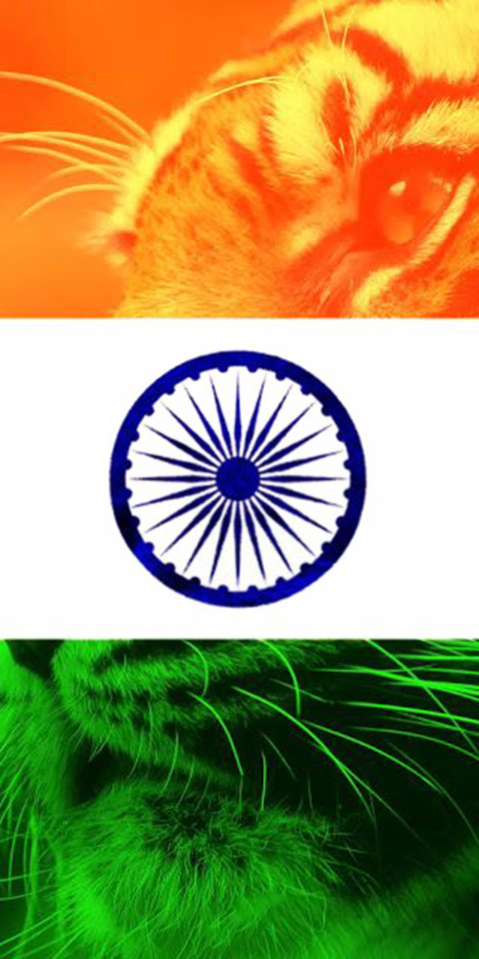 インド国旗と虎のモバイル壁紙