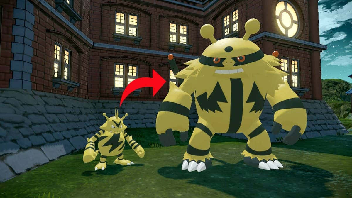 エレブーがポケモンバトルでエネルギーを充電 壁紙