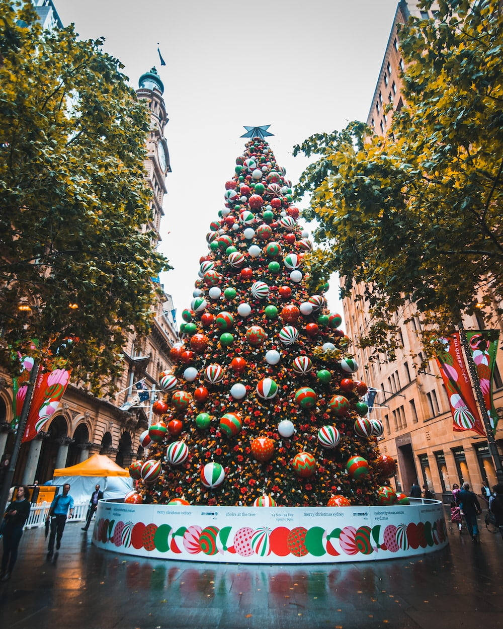 オーストラリアのクリスマスカラフルツリー 壁紙