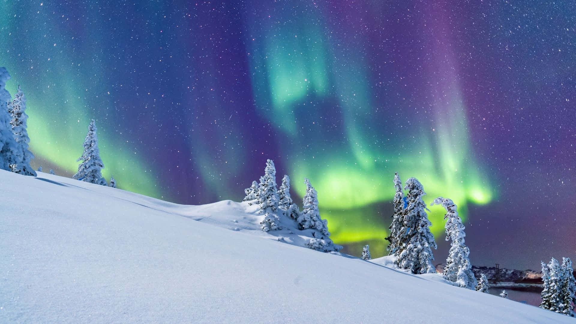 オーロラの冬のワンダーランド背景 壁紙