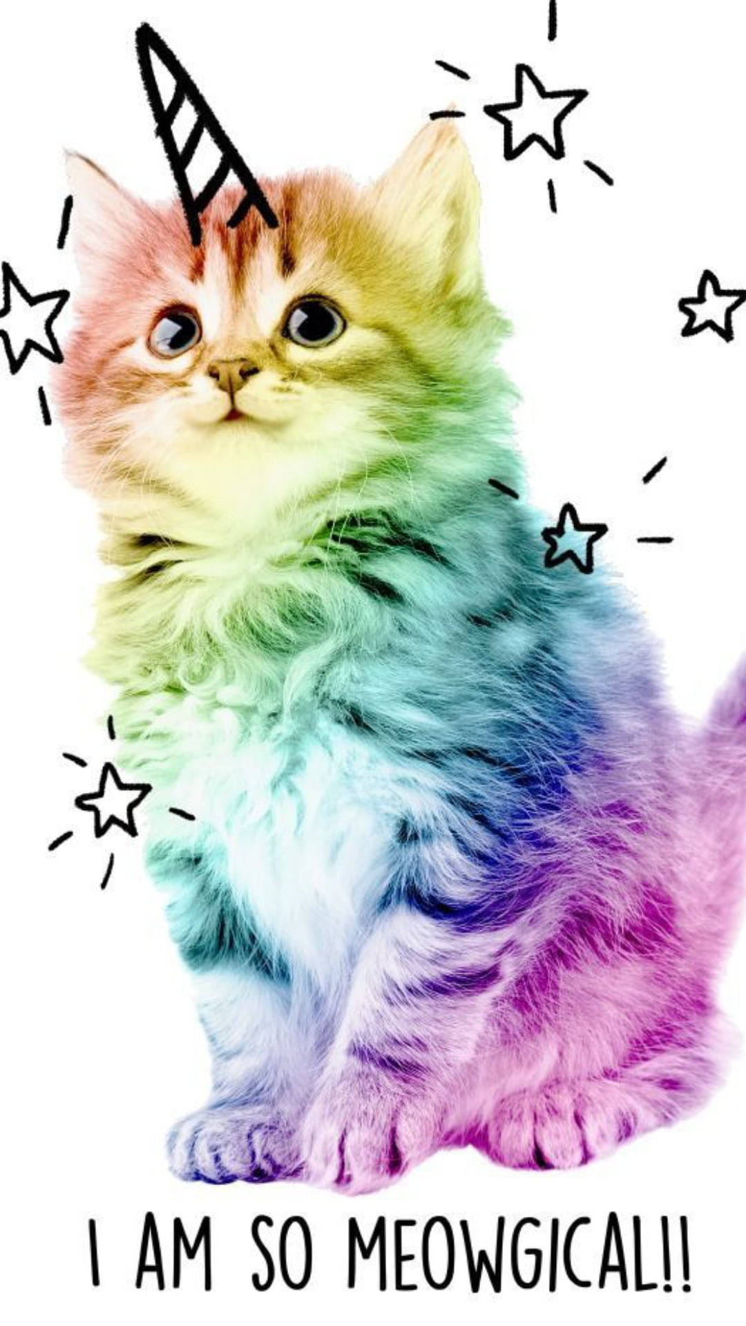カラフルな可愛い子猫 壁紙