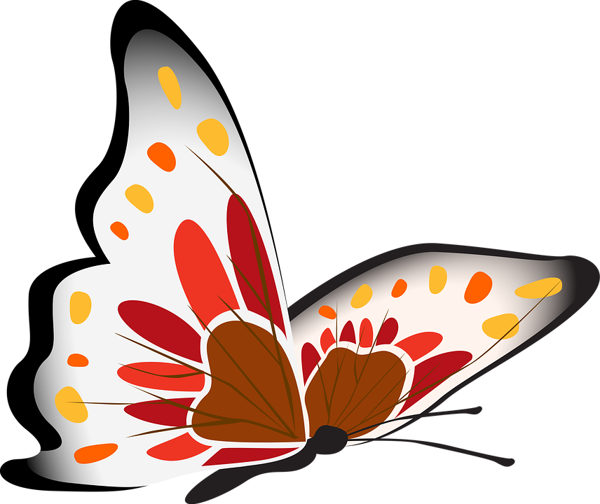 カラフルな蝶のイラスト 壁紙