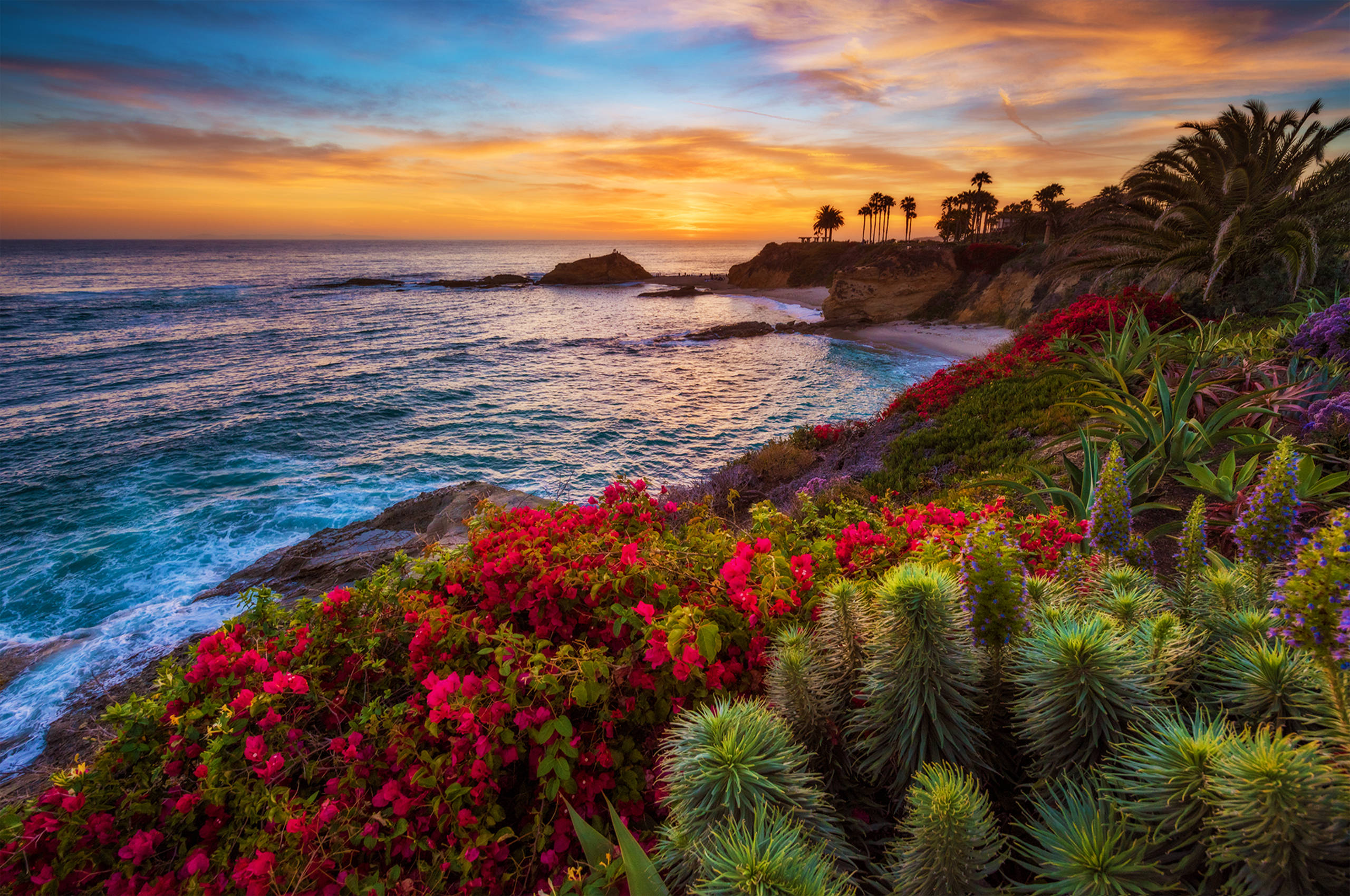 カリフォルニアの海景 壁紙
