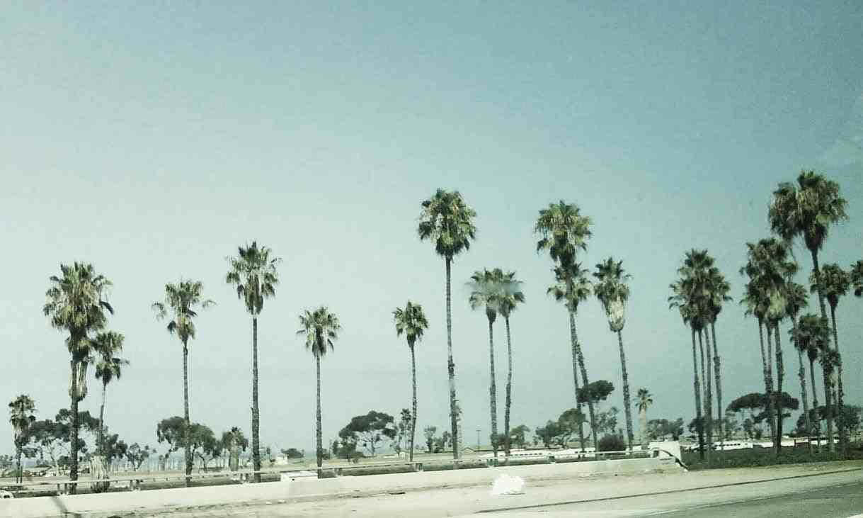 カリフォルニアの雄大な海岸景観 壁紙