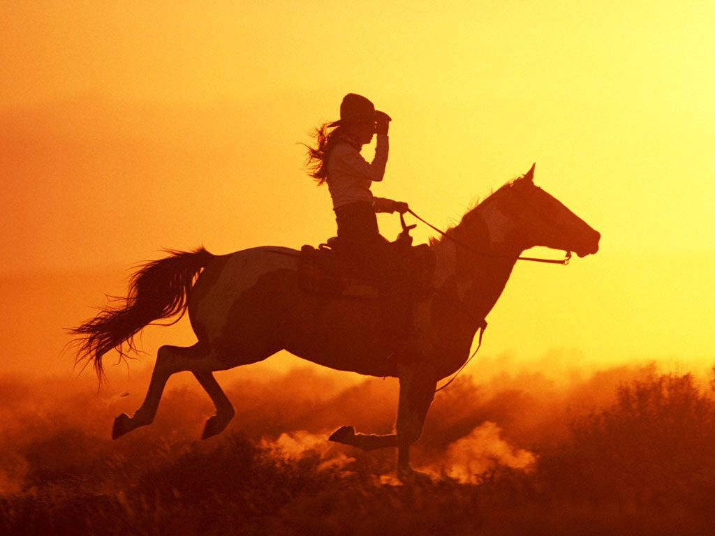 カントリーウェスタン 夕日に向かって乗馬 壁紙