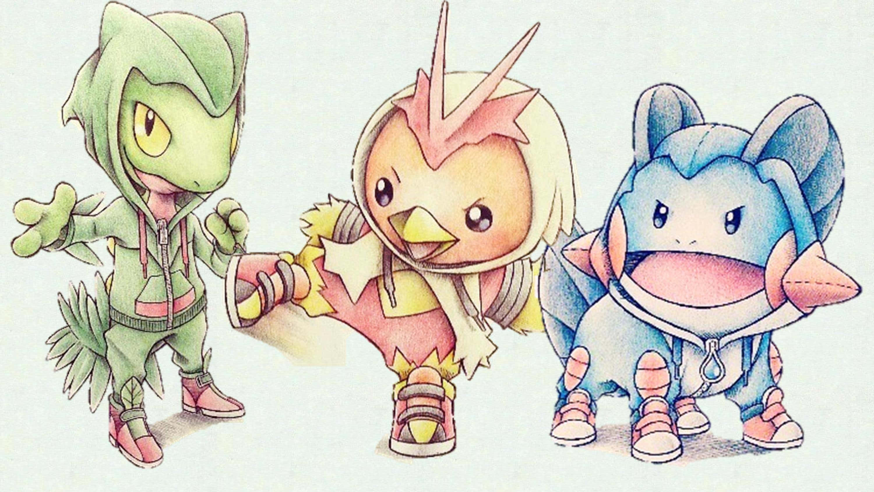 キモリ、アチャモ、ミズゴマウの描き方 壁紙