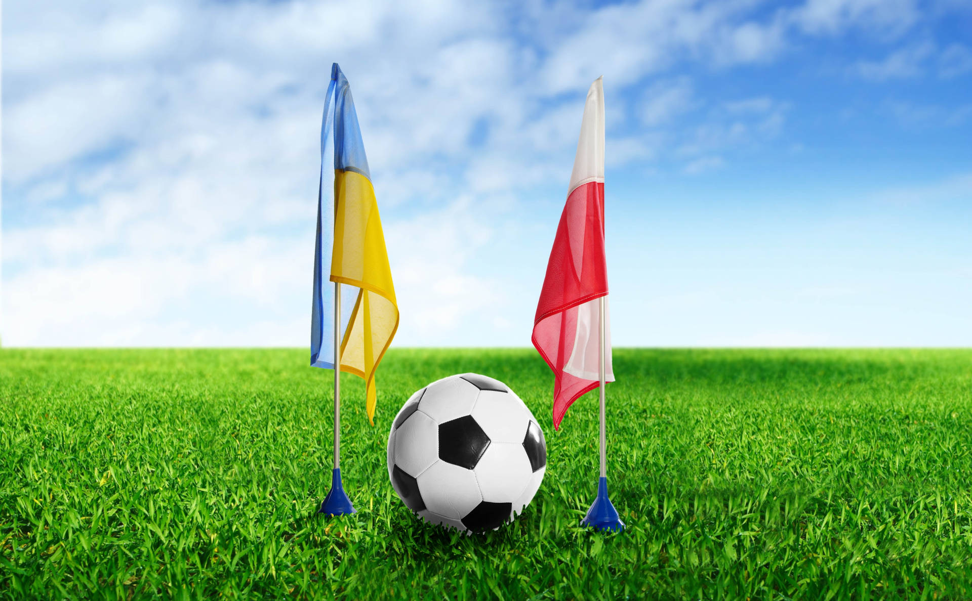 サッカー ウクライナ ポーランド 国旗 緑のサッカー場 壁紙