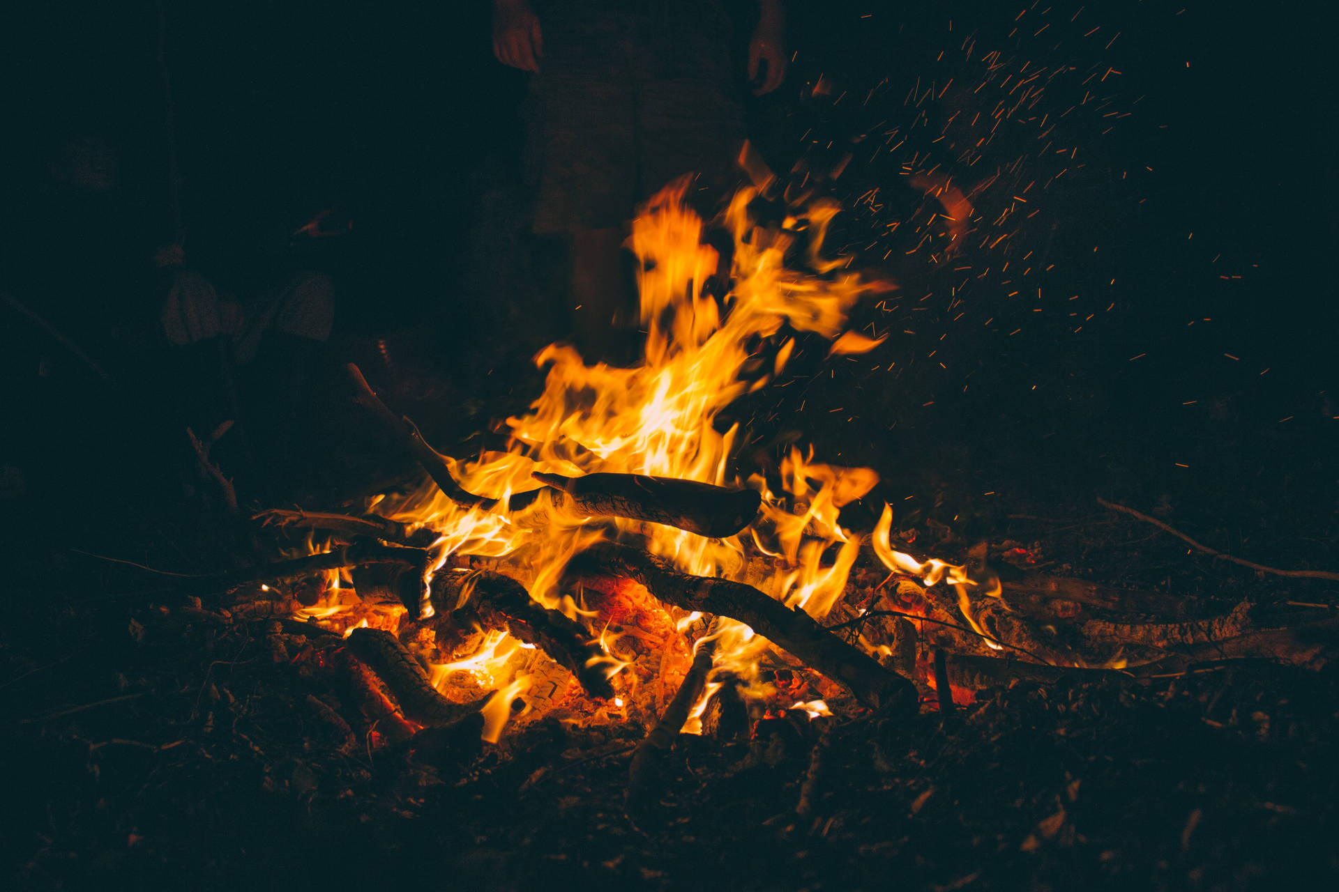 森の中の暗い夜を照らす、薪を燃やすキャンプファイヤーのオレンジ色の炎