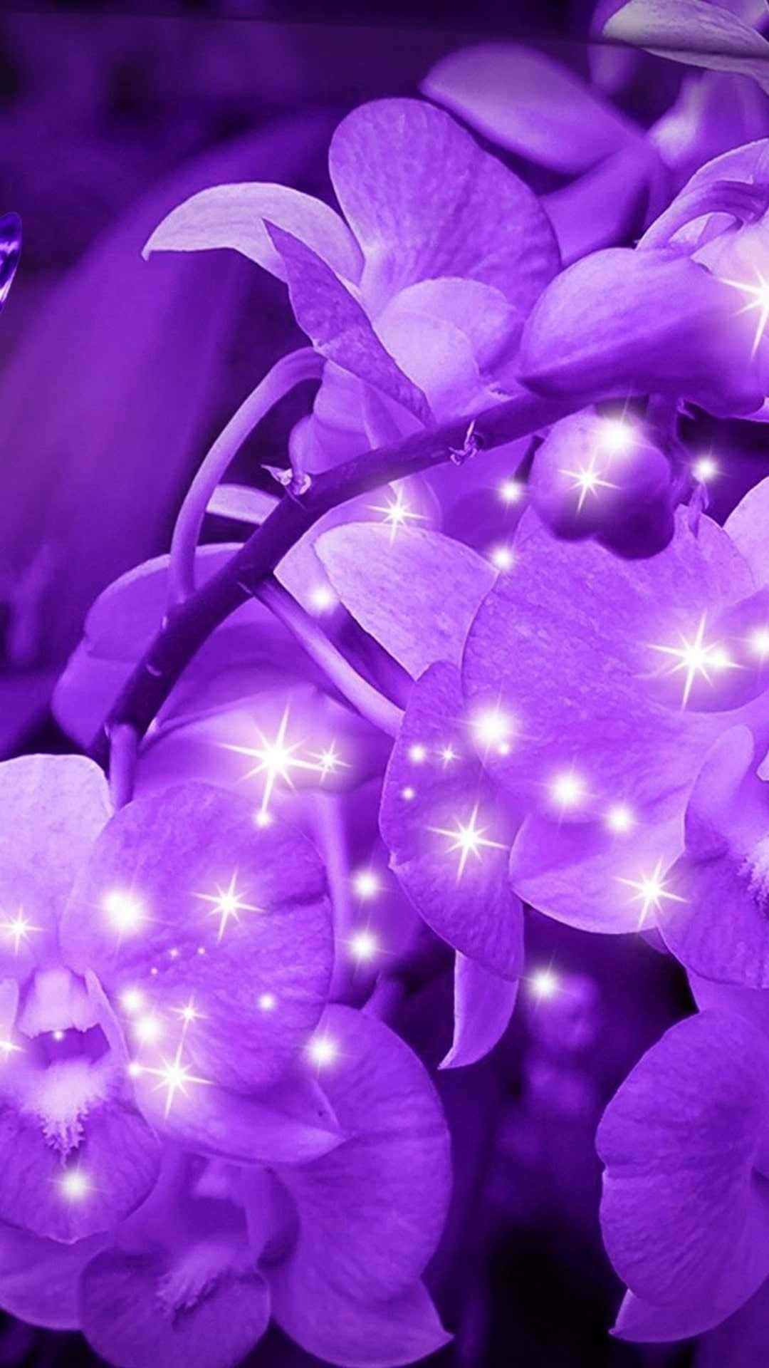 キラキラ光る紫色の花の背景 壁紙