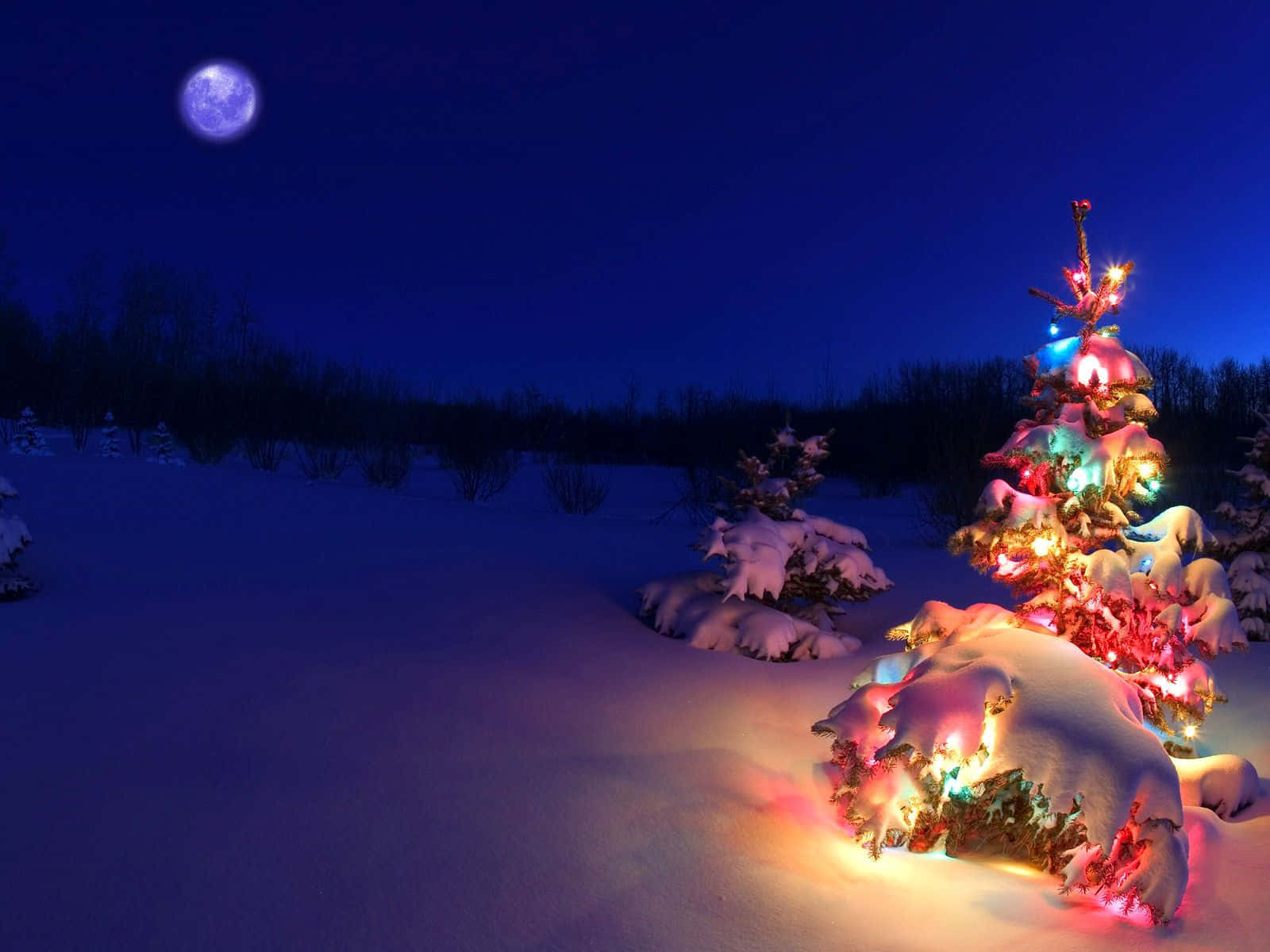 「クリスマス・キャロル」の古典的な物語におけるスクルージの変貌 壁紙
