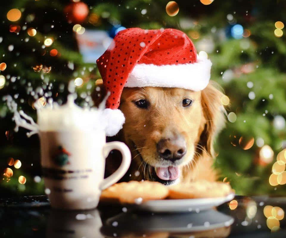 クリスマスの犬とクッキーとエッグノッグ 壁紙