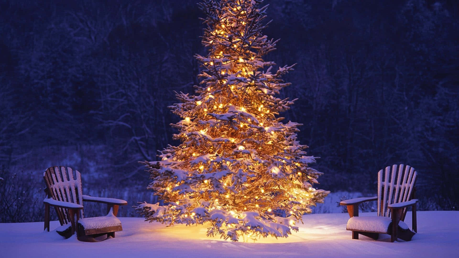 クリスマスの美しさが心を喜びで満たしますように 壁紙