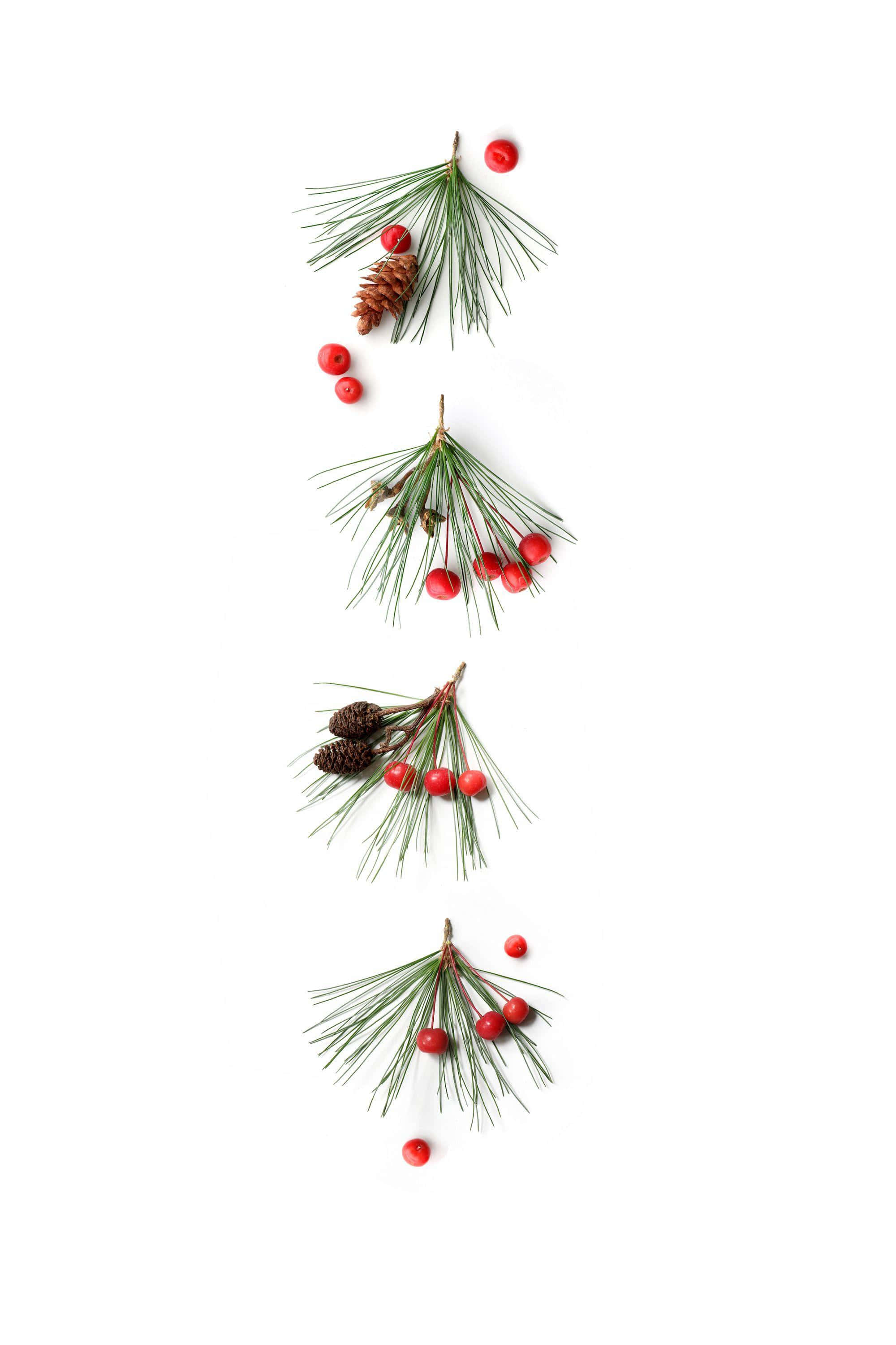クリスマスの装飾的な魔法を祝う 壁紙