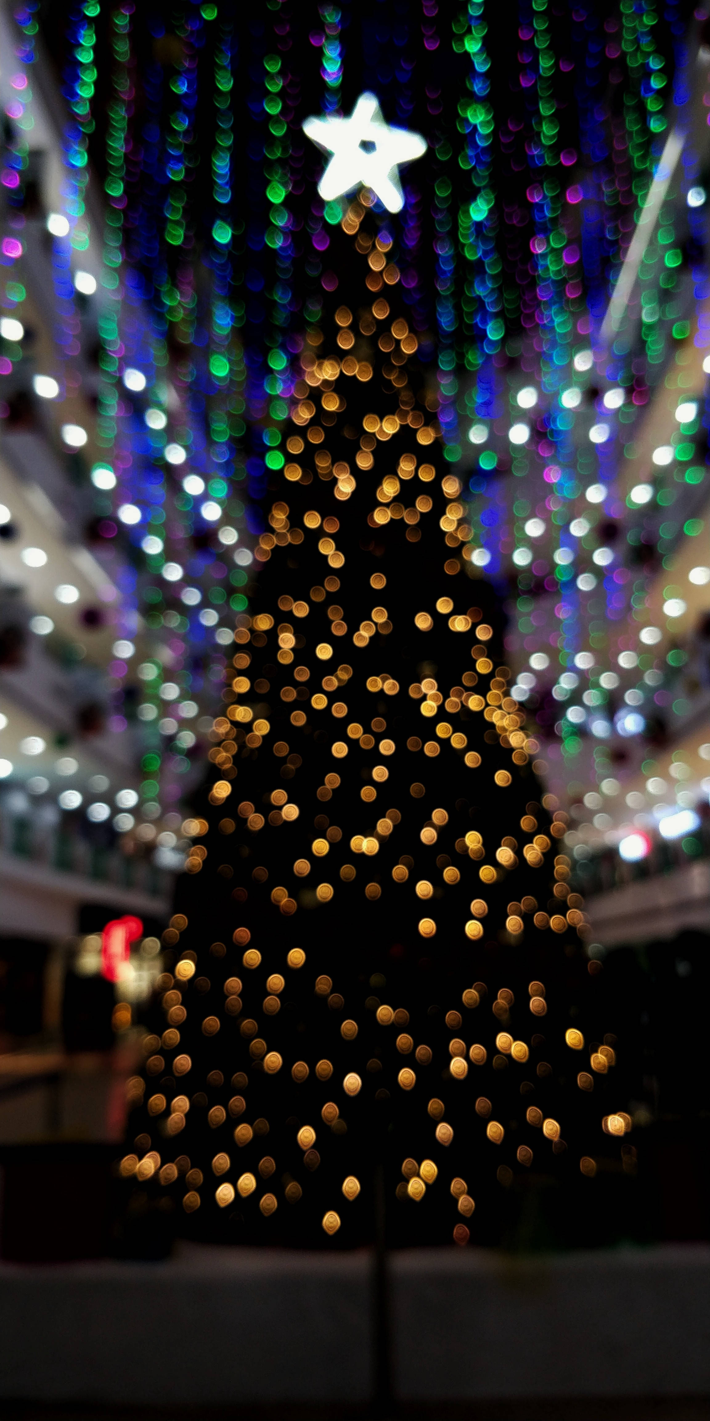 クリスマスイルミネーションの魔法を楽しむ 壁紙
