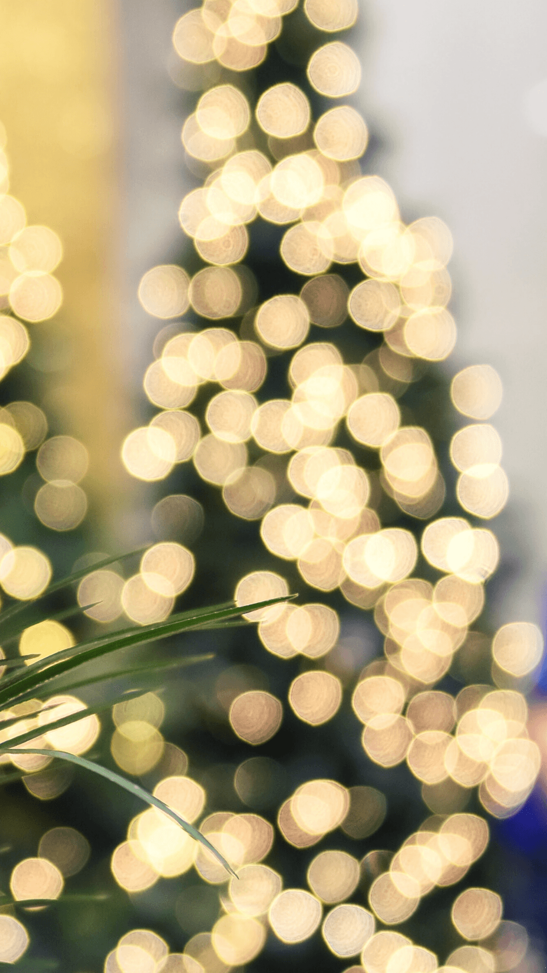 「クリスマスシーズンにぴったりのお祝いスマホ壁紙」 壁紙