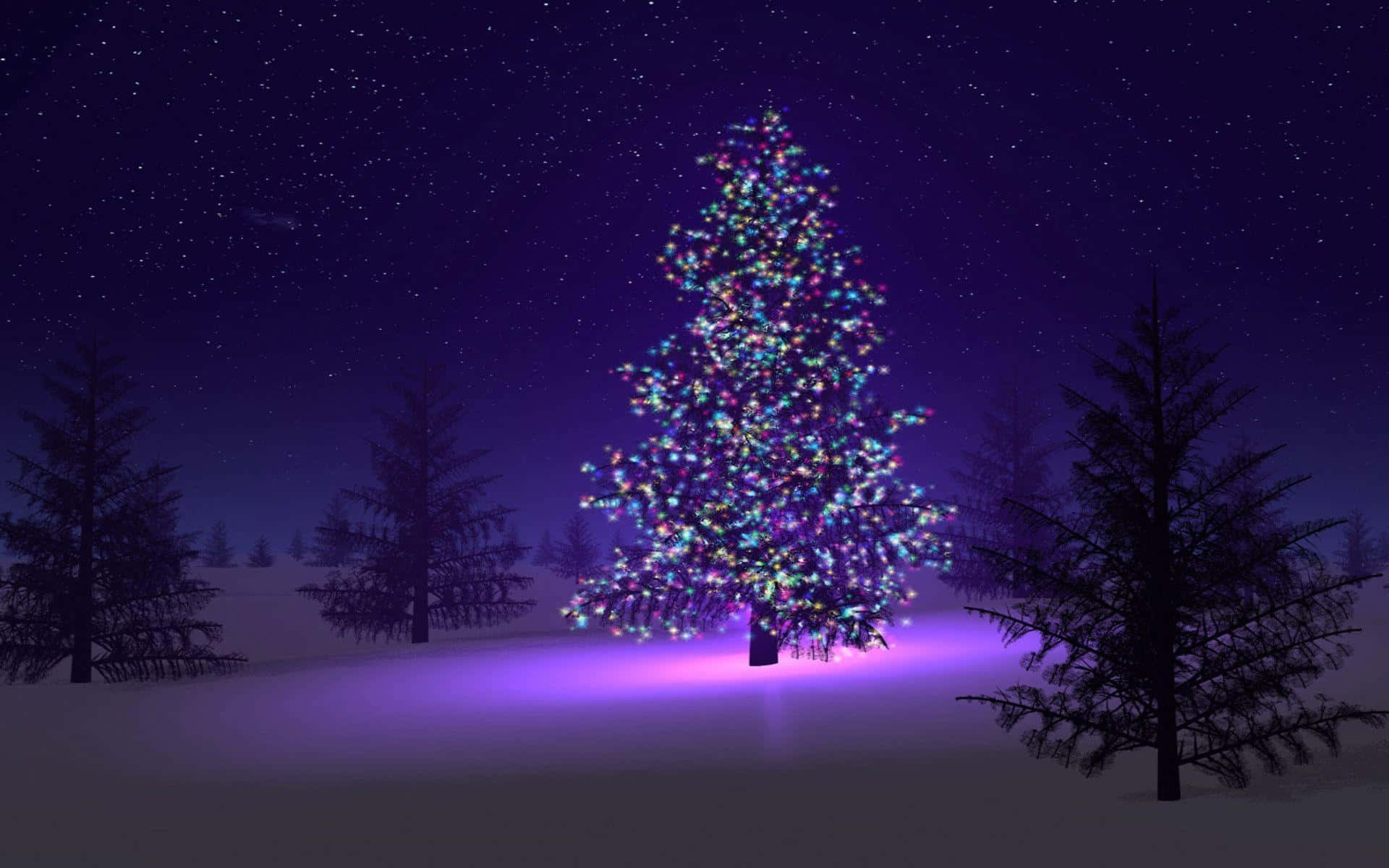 クリスマスツリーでホリデーに輝きを添えよう 壁紙