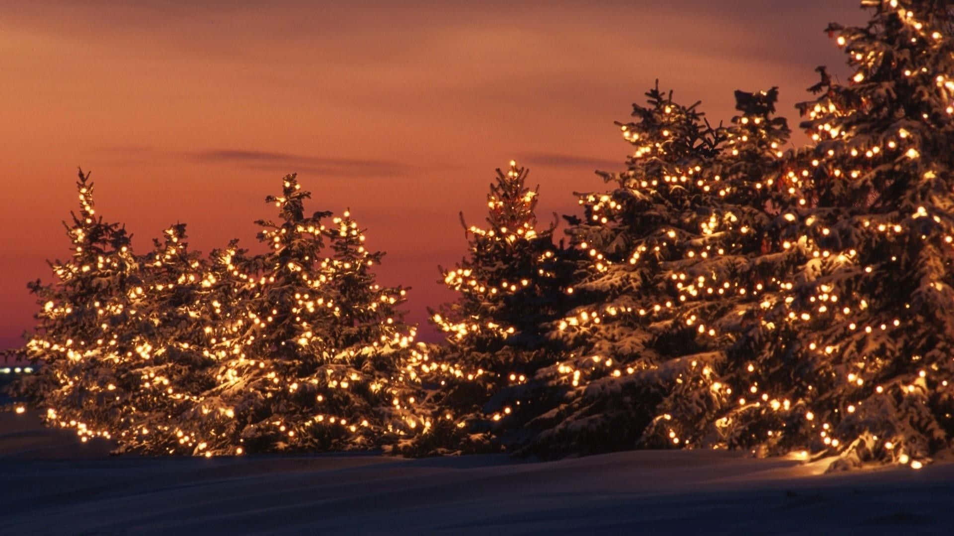 クリスマスツリーと夕焼けのイルミネーション 壁紙